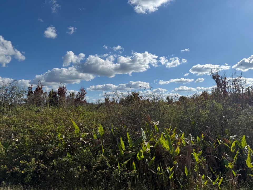 合同活跃: $59,900 (0 贝兹, 0 浴室, 0 平方英尺)