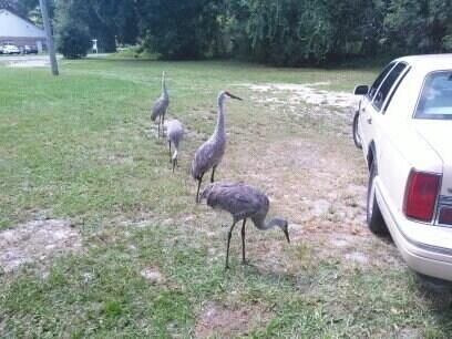 For Rent: $1,192 (1 beds, 1 baths, 650 Square Feet)