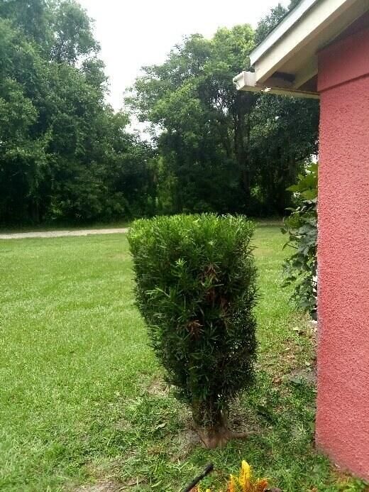 For Rent: $1,192 (1 beds, 1 baths, 650 Square Feet)