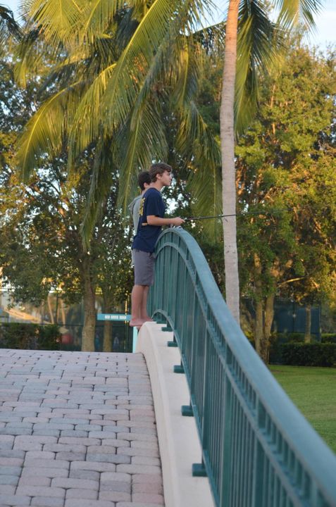 En Renta: $2,900 (2 camas, 2 baños, 1680 Pies cuadrados)