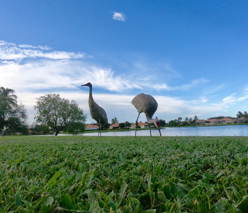 En Renta: $3,000 (2 camas, 2 baños, 1680 Pies cuadrados)