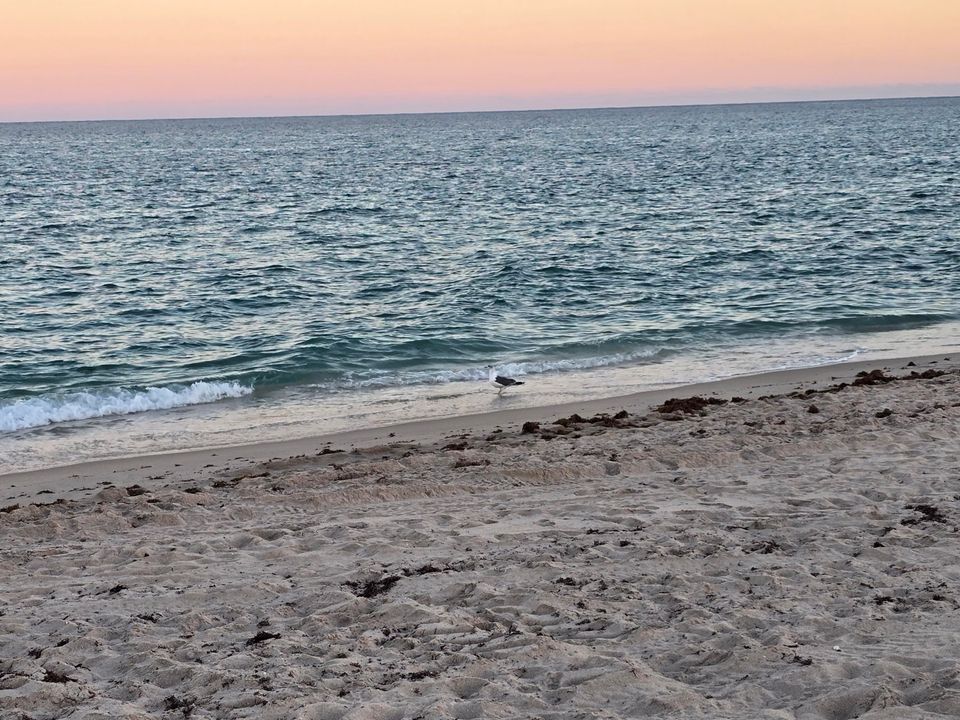 Active With Contract: $2,600 (1 beds, 1 baths, 650 Square Feet)