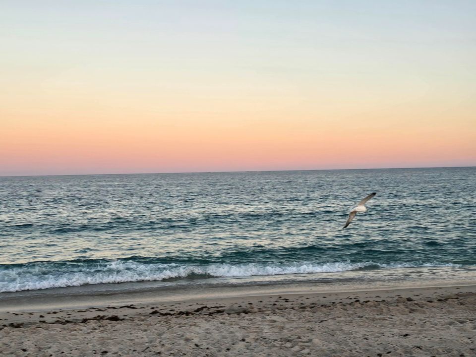 Active With Contract: $2,600 (1 beds, 1 baths, 650 Square Feet)