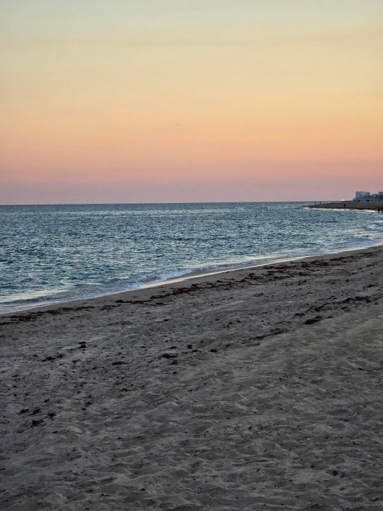 Active With Contract: $2,600 (1 beds, 1 baths, 650 Square Feet)