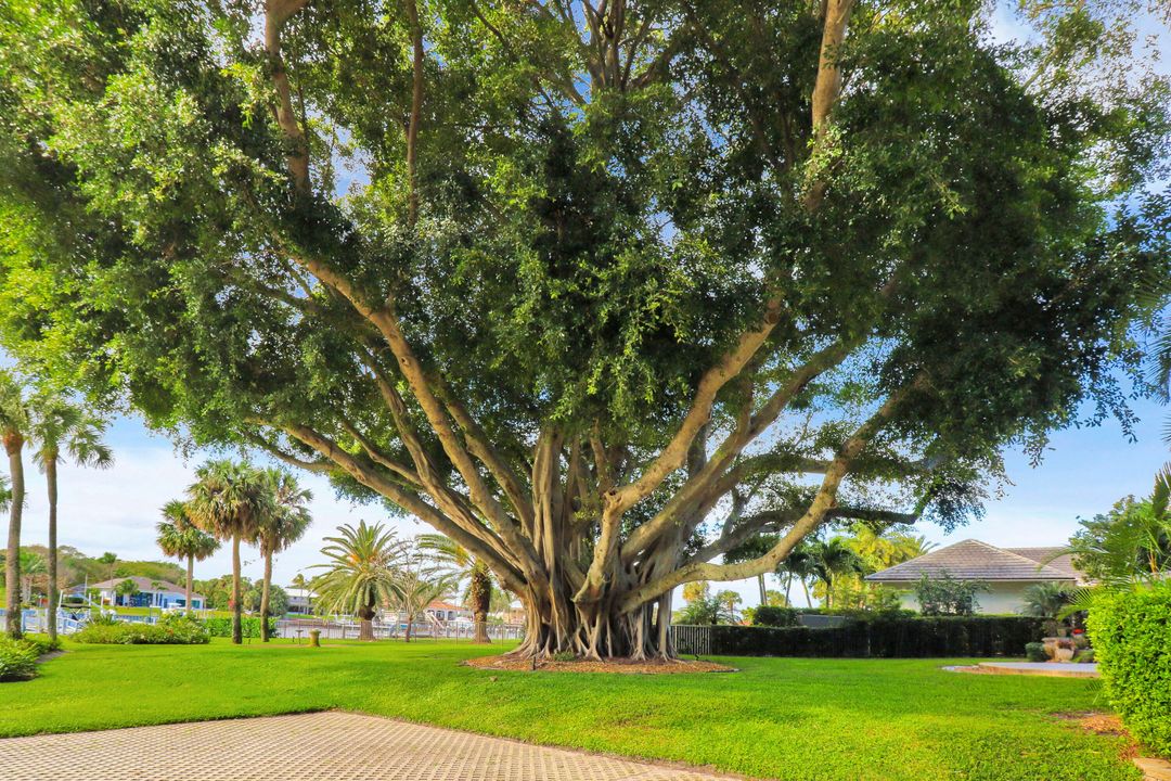 Activo con contrato: $10,000 (3 camas, 2 baños, 1509 Pies cuadrados)