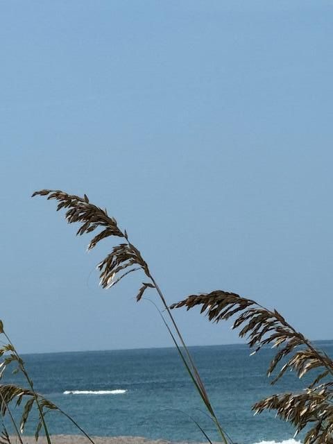 На продажу: $750,000 (3 спален, 2 ванн, 1923 Квадратных фут)