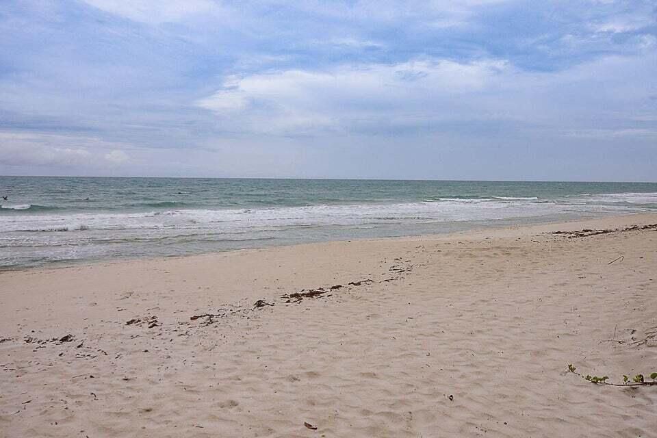 待售: $775,000 (3 贝兹, 2 浴室, 1623 平方英尺)