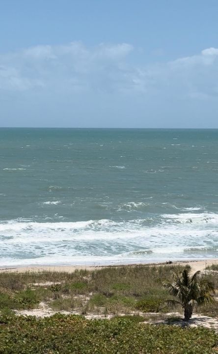 待售: $775,000 (3 贝兹, 2 浴室, 1623 平方英尺)