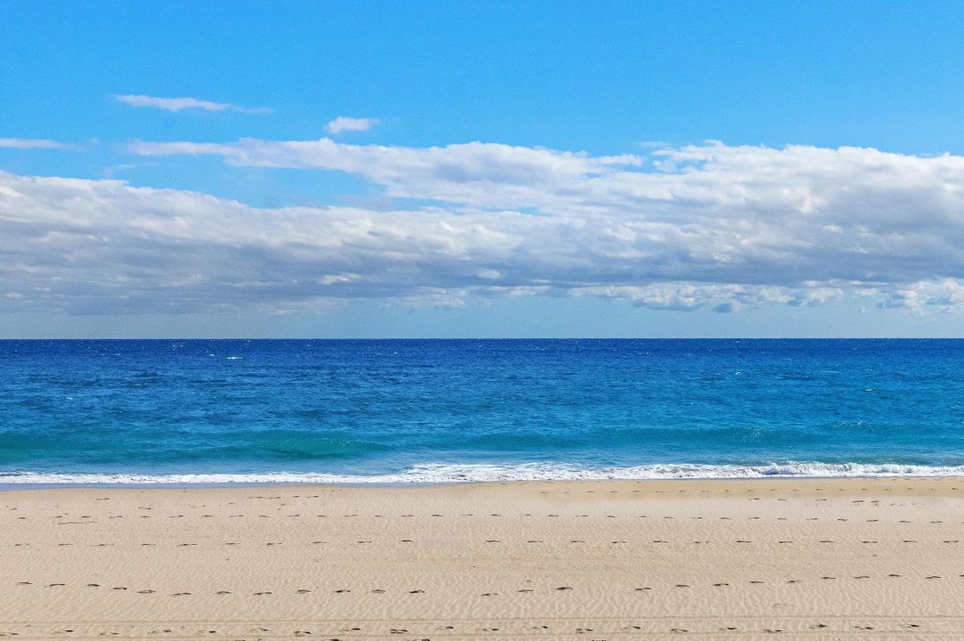 待售: $49,500,000 (8 贝兹, 9 浴室, 9853 平方英尺)