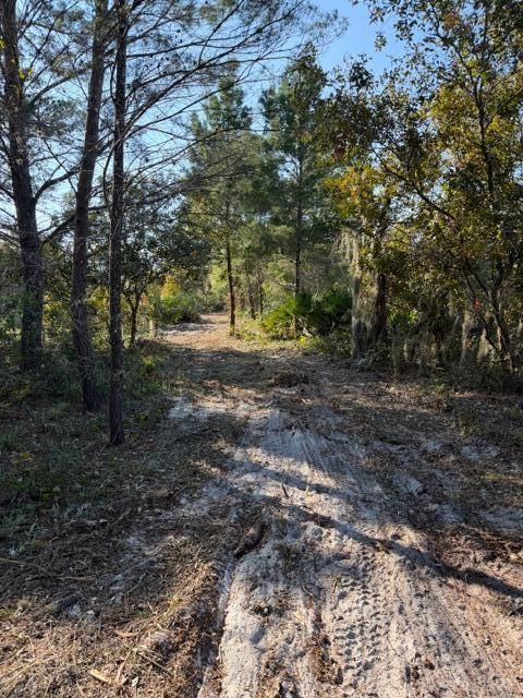 待售: $225,000 (0 贝兹, 0 浴室, 0 平方英尺)