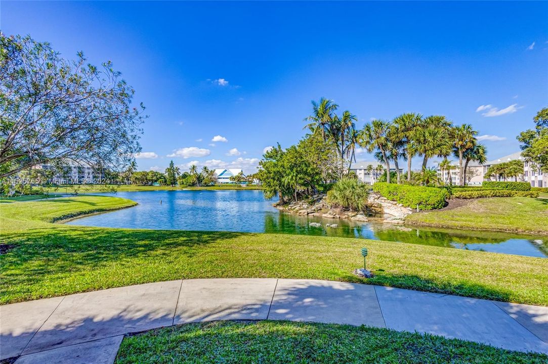 出租: $7,000 (2 贝兹, 2 浴室, 1056 平方英尺)