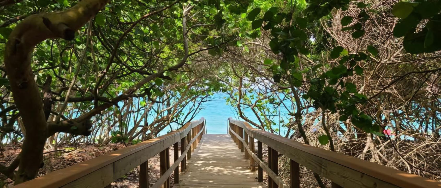 出租: $7,000 (2 贝兹, 2 浴室, 1056 平方英尺)