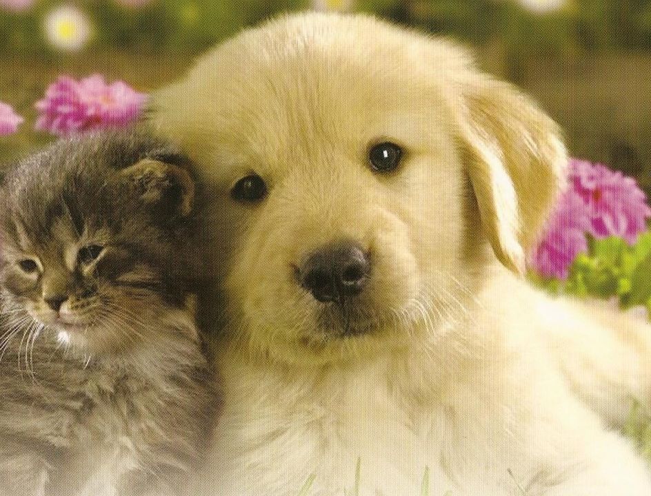 For Sale: $223,000 (2 beds, 2 baths, 1238 Square Feet)