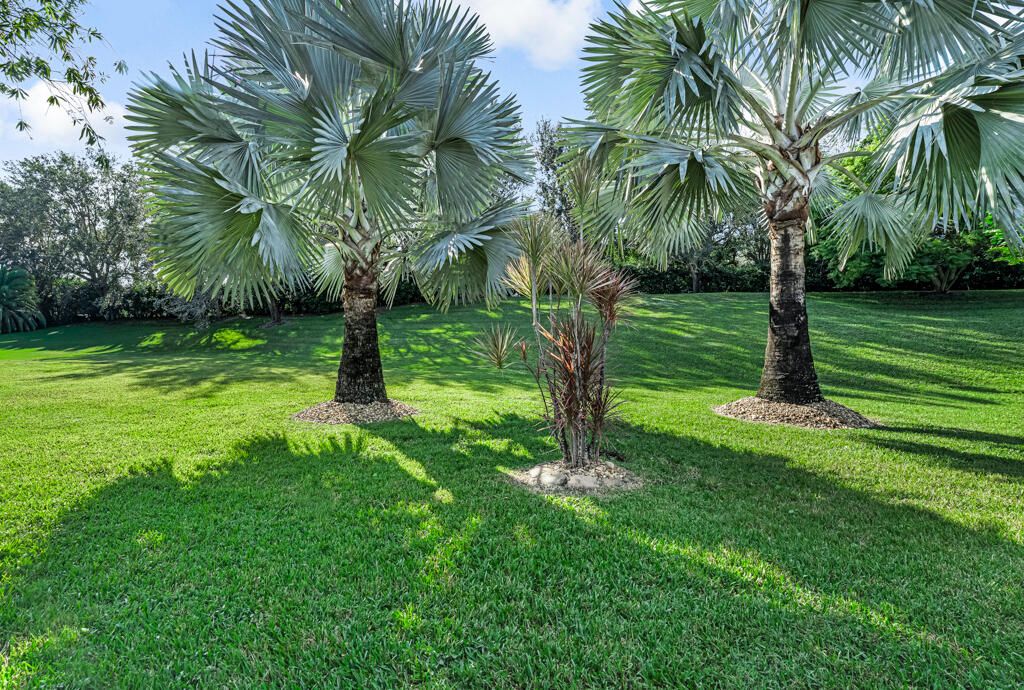 For Sale: $475,000 (3 beds, 2 baths, 1617 Square Feet)