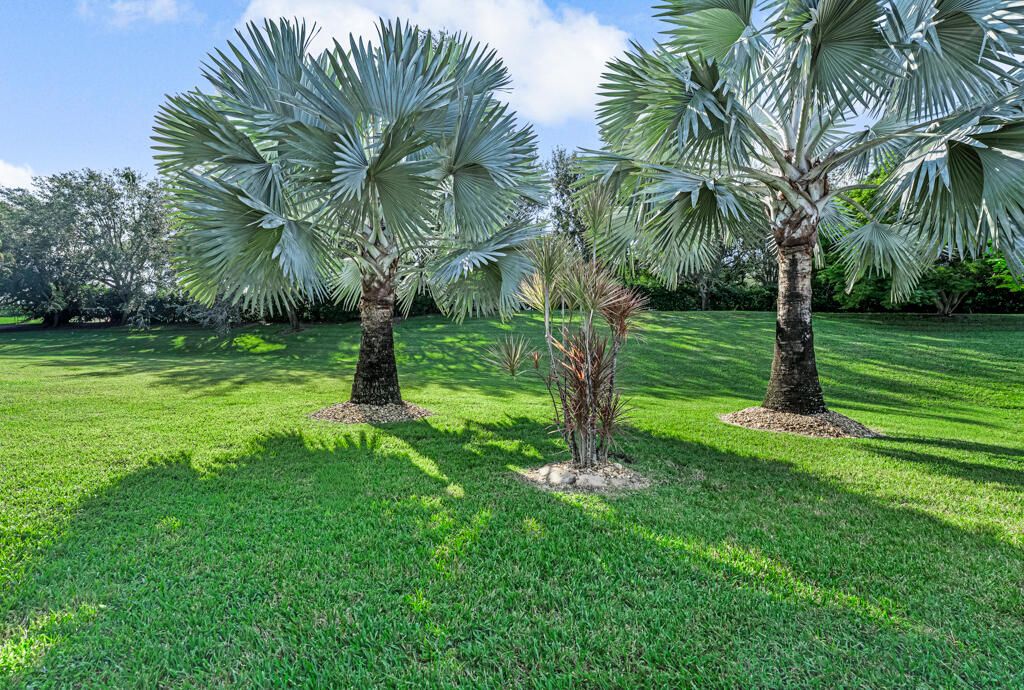 For Sale: $475,000 (3 beds, 2 baths, 1617 Square Feet)