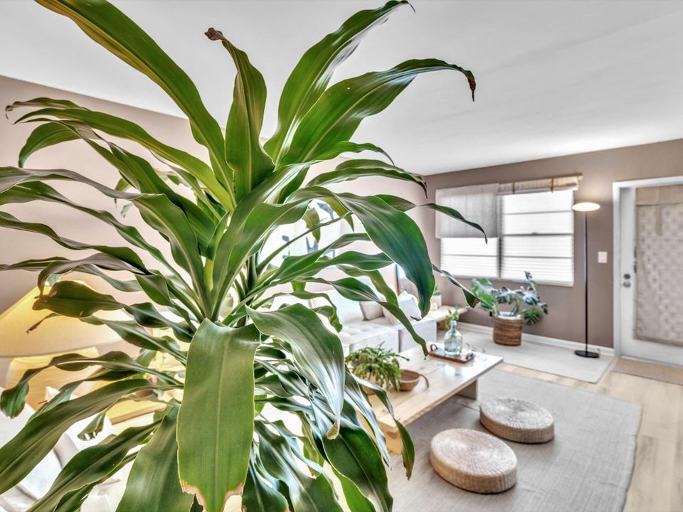 For Sale: $225,000 (2 beds, 1 baths, 860 Square Feet)