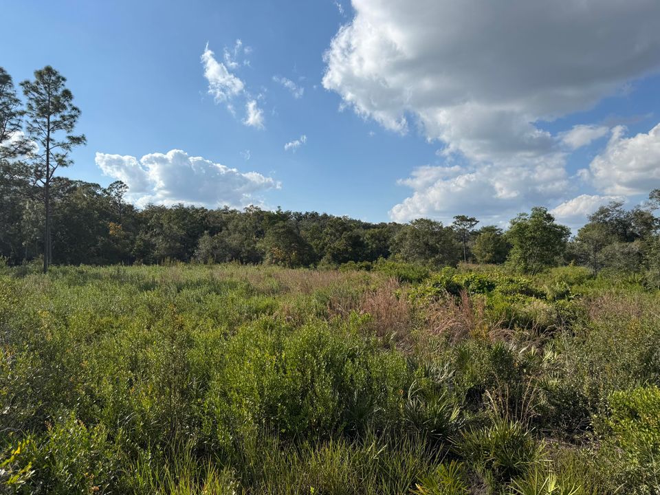 For Sale: $165,000 (0 beds, 0 baths, 0 Square Feet)