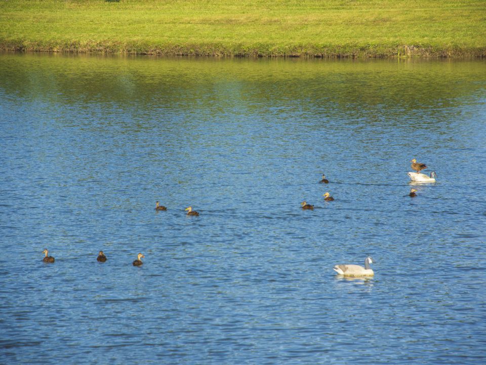 For Sale: $735,000 (3 beds, 2 baths, 2973 Square Feet)