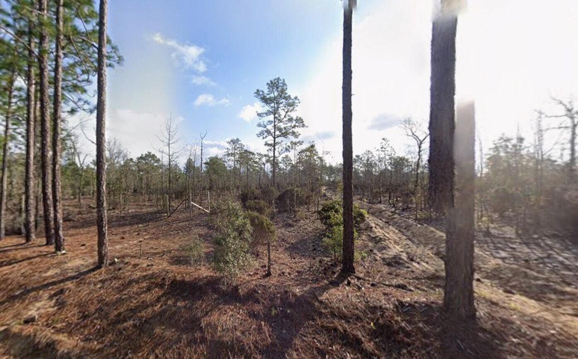 待售: $8,500 (0 贝兹, 0 浴室, 0 平方英尺)