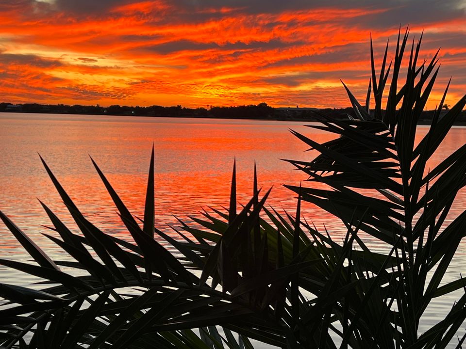 For Sale: $1,750,000 (6 beds, 4 baths, 3611 Square Feet)