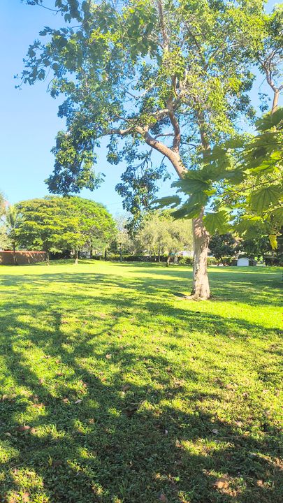 For Rent: $5,200 (3 beds, 2 baths, 1535 Square Feet)