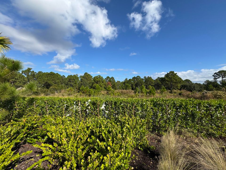 На продажу: $2,095,000 (0 спален, 0 ванн, 0 Квадратных фут)