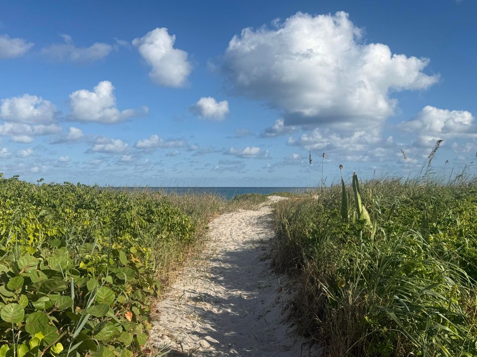 For Rent: $1,995 (1 beds, 1 baths, 620 Square Feet)