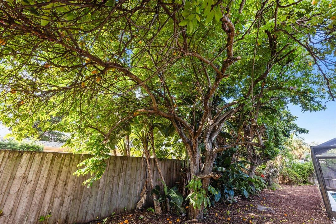 For Sale: $679,999 (3 beds, 2 baths, 1460 Square Feet)