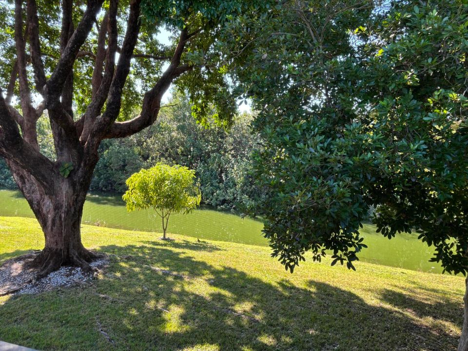 出租: $1,375 (1 贝兹, 1 浴室, 702 平方英尺)