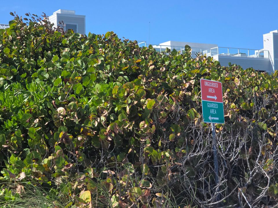 For Sale: $375,000 (2 beds, 2 baths, 1170 Square Feet)