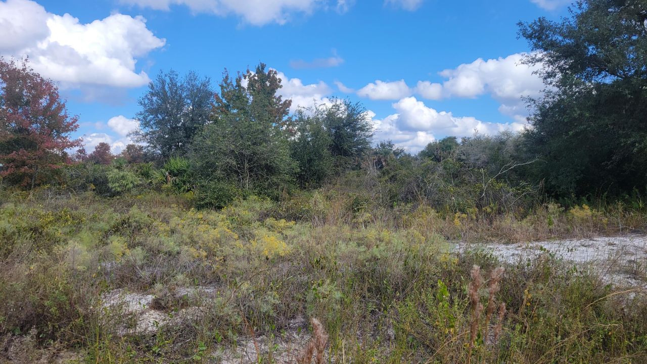 For Sale: $38,000 (0 beds, 0 baths, 0 Square Feet)