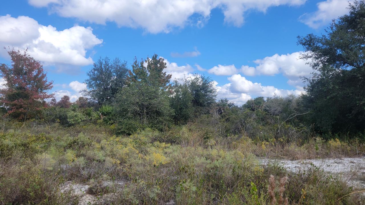 For Sale: $38,000 (0 beds, 0 baths, 0 Square Feet)