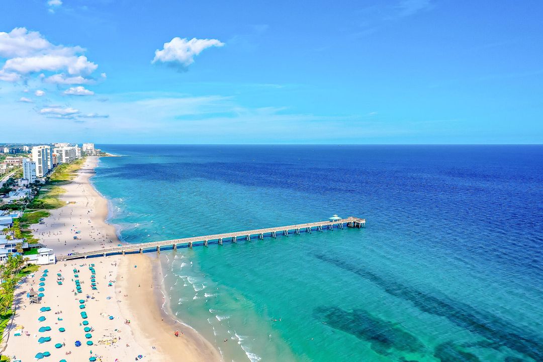 For Rent: $2,000 (1 beds, 1 baths, 319 Square Feet)