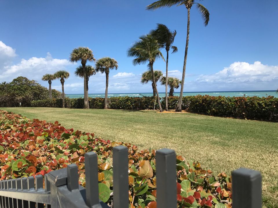 Под контрактом: $3,875 (2 спален, 2 ванн, 1170 Квадратных фут)