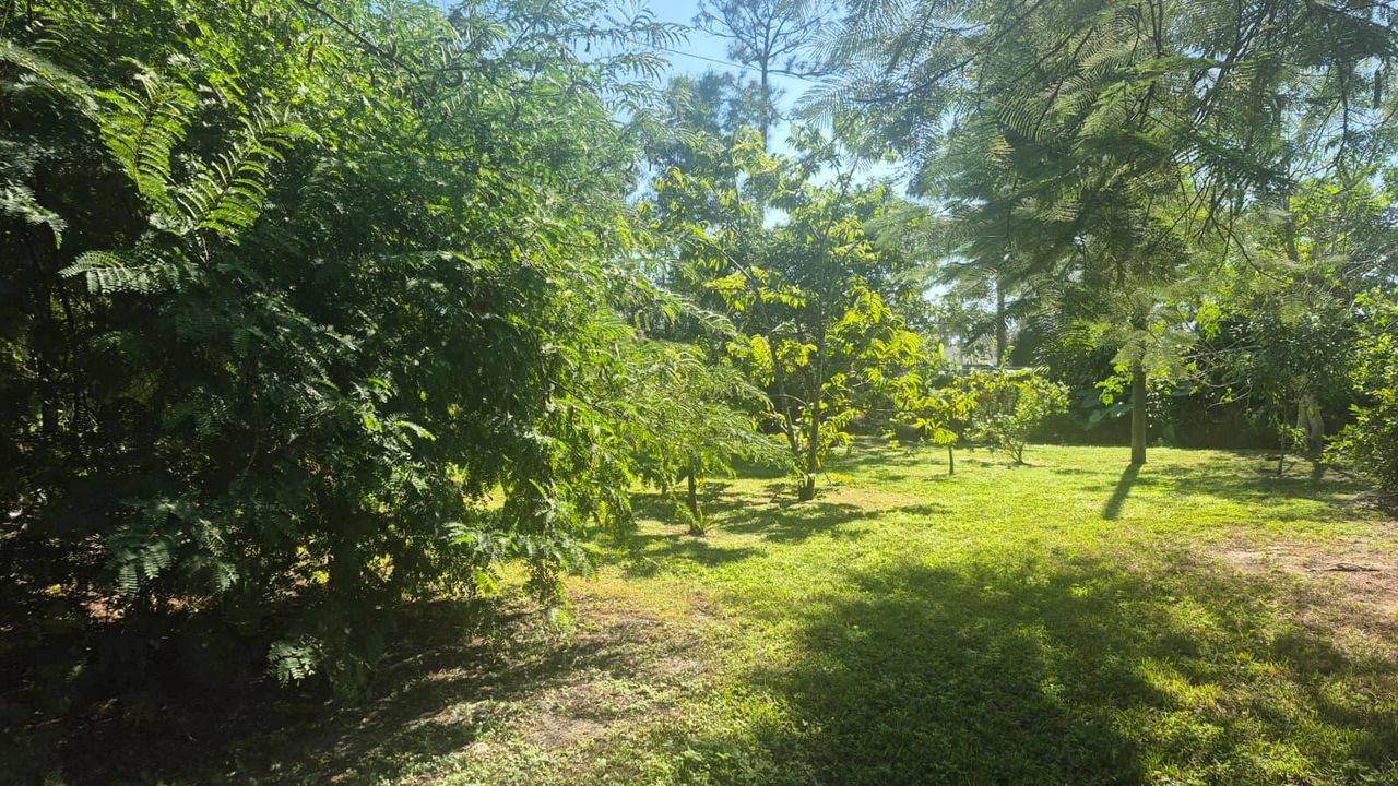 En Venta: $485,000 (4 camas, 2 baños, 1556 Pies cuadrados)