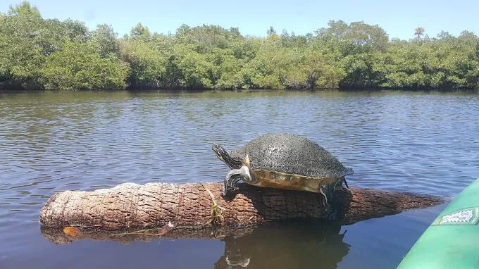 For Sale: $800,000 (3 beds, 2 baths, 2100 Square Feet)