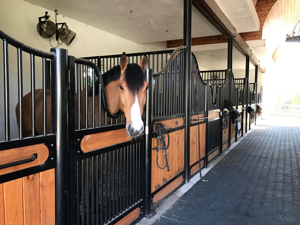 For Rent: $2,000 (0 beds, 1 baths, 4350 Square Feet)