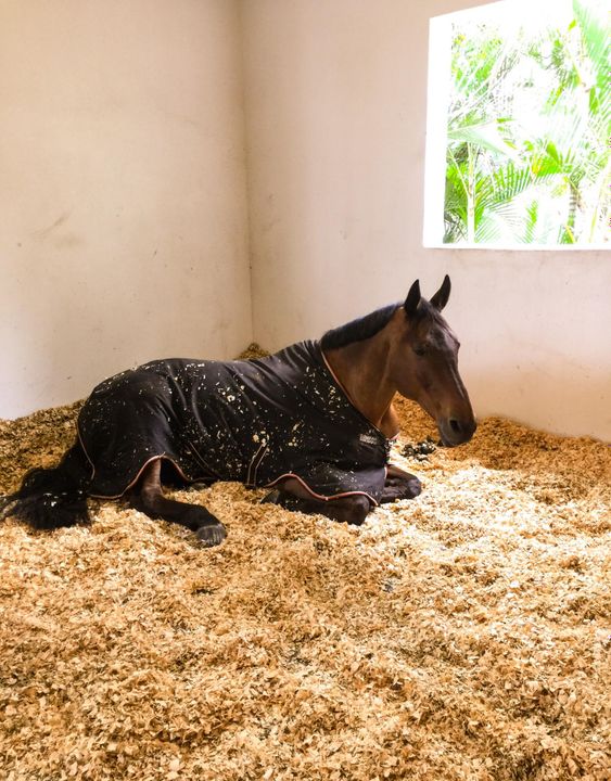 For Rent: $2,000 (0 beds, 1 baths, 4350 Square Feet)