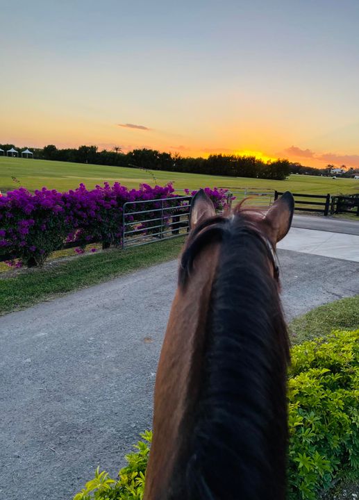 For Rent: $2,000 (0 beds, 1 baths, 4350 Square Feet)