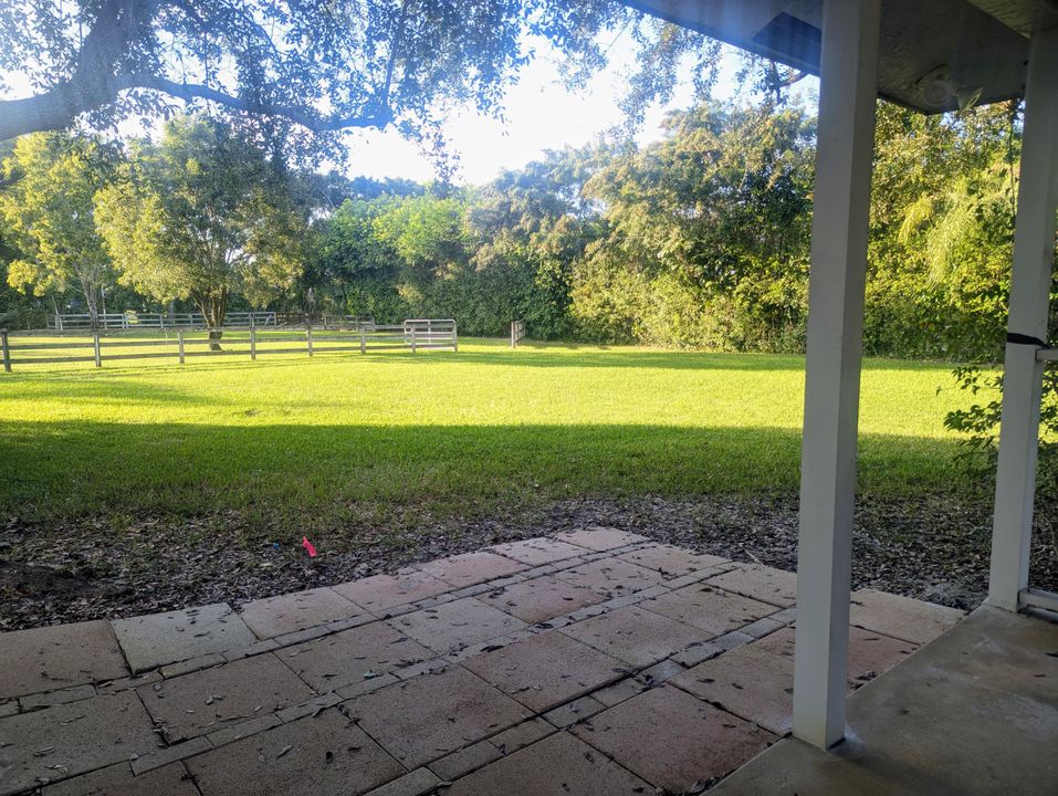 出租: $2,000 (1 贝兹, 1 浴室, 890 平方英尺)