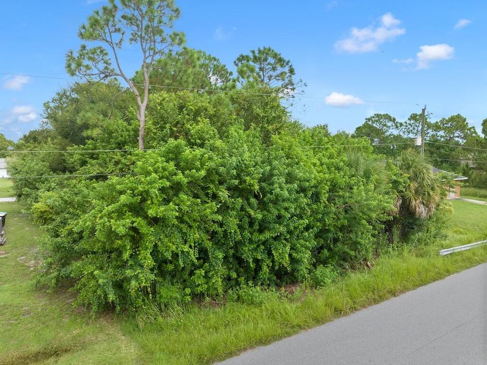 待售: $45,000 (0 贝兹, 0 浴室, 0 平方英尺)