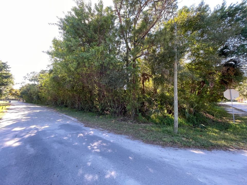 待售: $62,000 (0 贝兹, 0 浴室, 0 平方英尺)