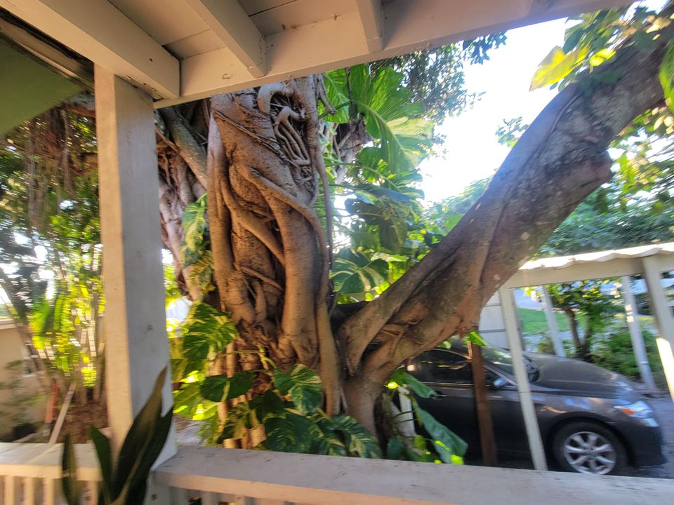 For Sale: $290,000 (2 beds, 2 baths, 1152 Square Feet)