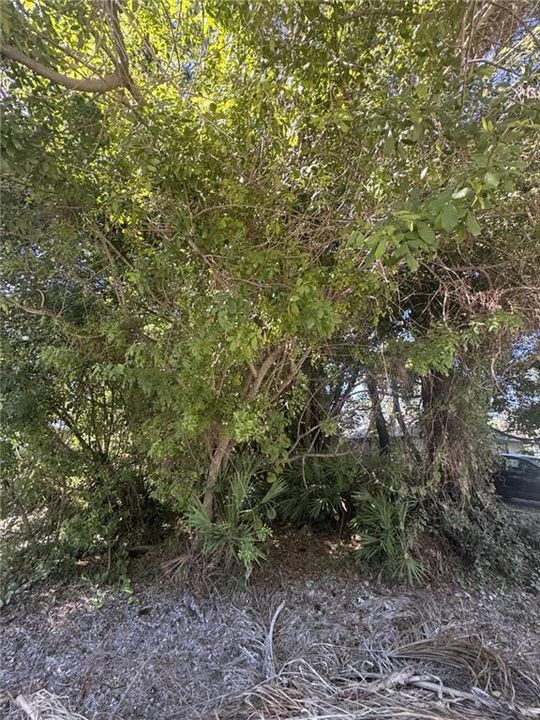 待售: $40,000 (0 贝兹, 0 浴室, 0 平方英尺)