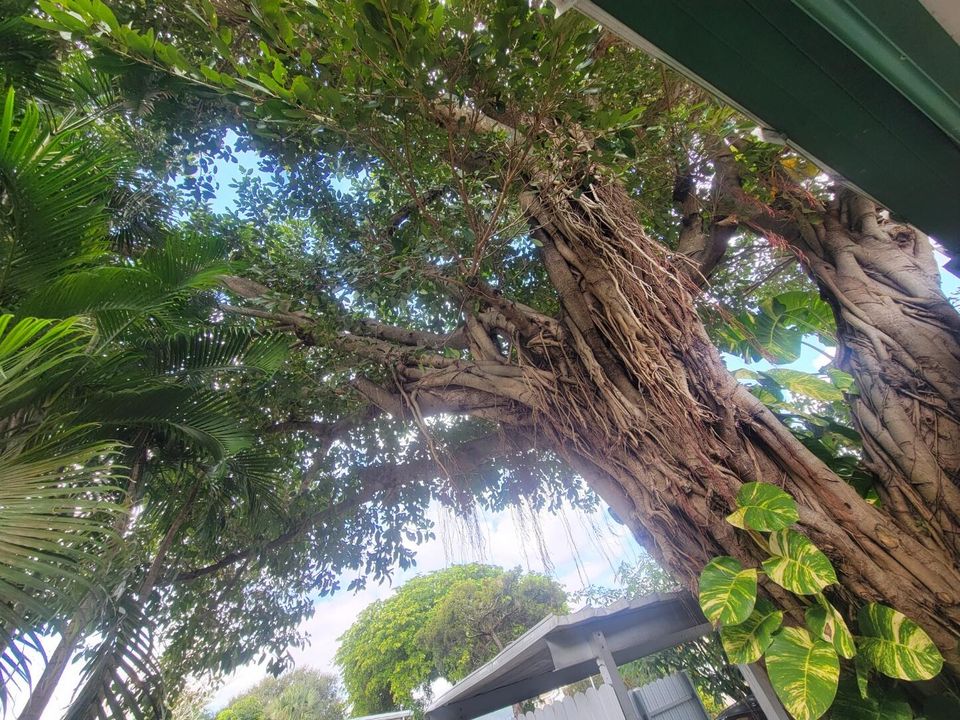 For Sale: $290,000 (2 beds, 2 baths, 1152 Square Feet)