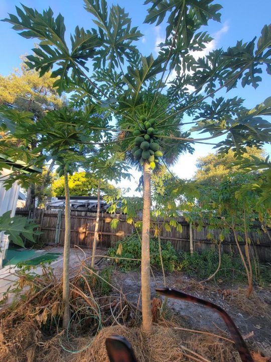 For Sale: $290,000 (2 beds, 2 baths, 1152 Square Feet)