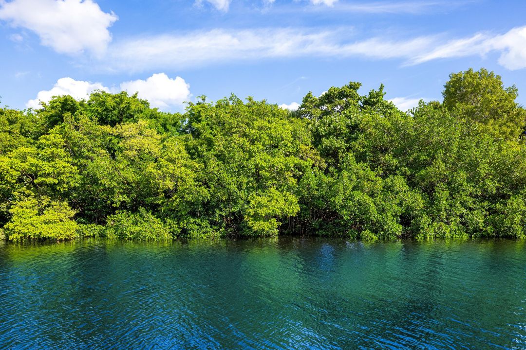 For Sale: $8,990,000 (5 beds, 5 baths, 7169 Square Feet)