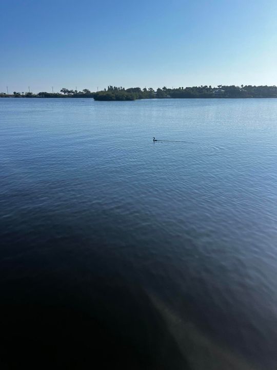 For Sale: $1,095,000 (0 beds, 0 baths, 0 Square Feet)