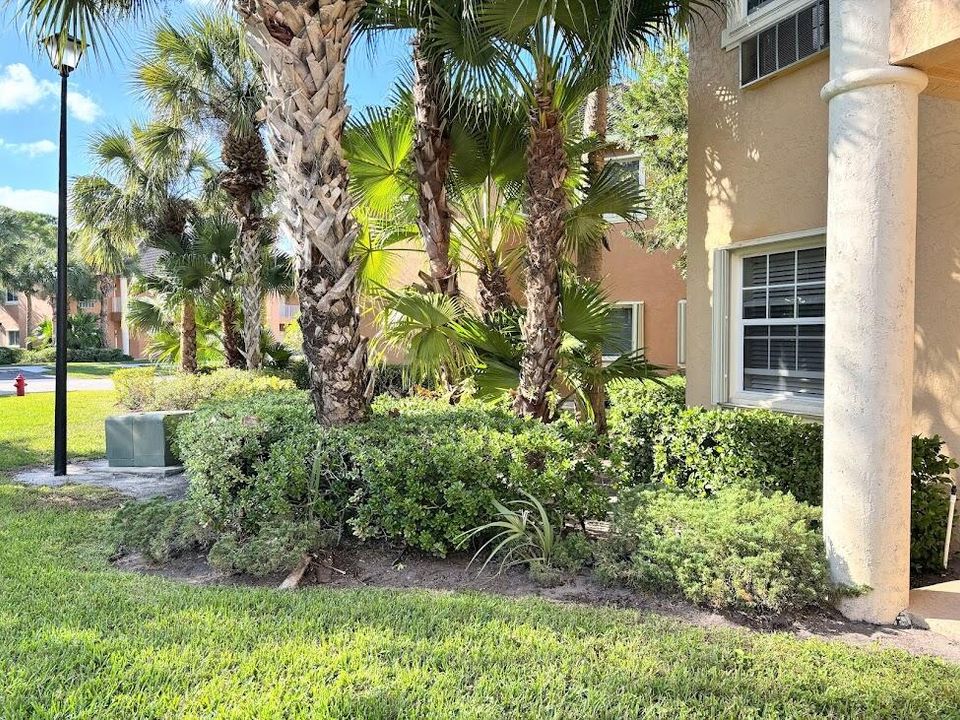 В аренду: $1,250 (1 спален, 1 ванн, 300 Квадратных фут)