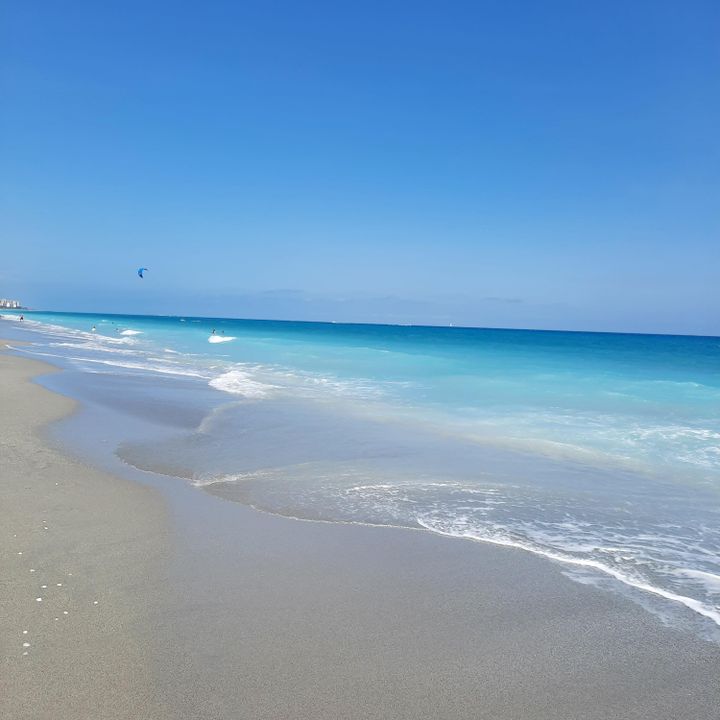 出租: $8,000 (3 贝兹, 3 浴室, 1822 平方英尺)